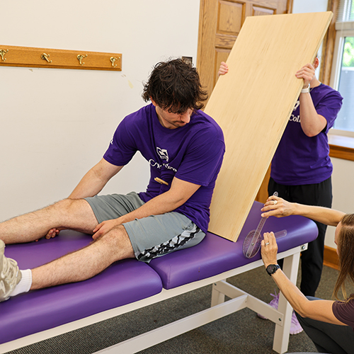 Model of a skeleton in a BMB classroom