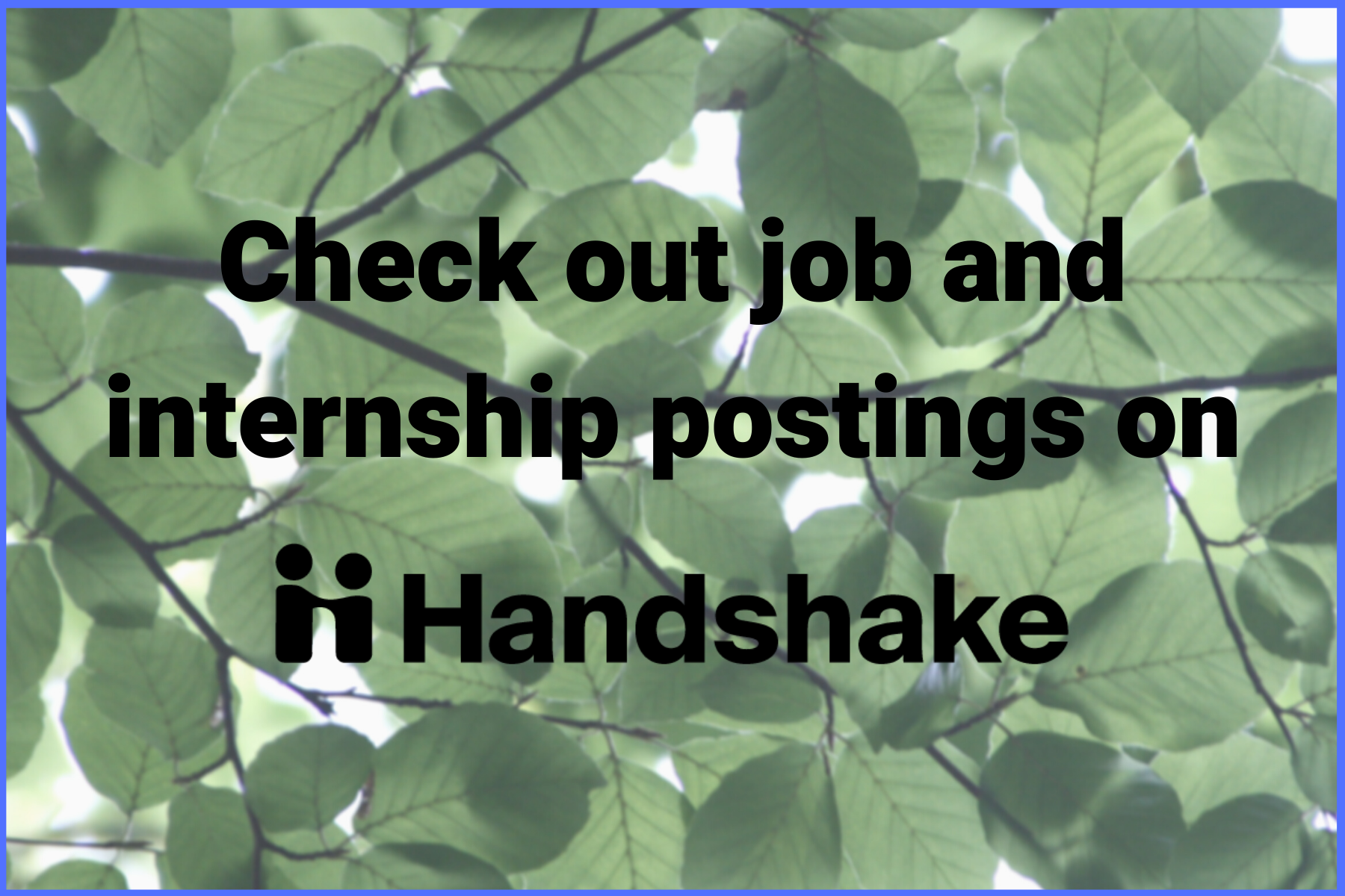 Find opportunities in environmental studies on Handshake