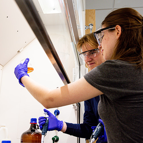 Students working together on a chemistry research experiment