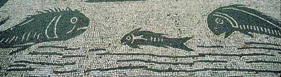 fish mosaic from Ostia
