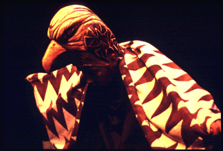 theatrical bird costume