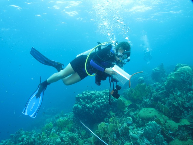 Performing surveys of coral reef communities as part of an environmental studies course