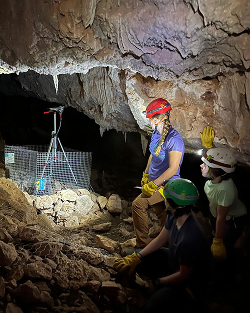Geology students complete research in the field.