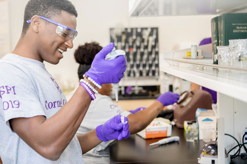 Cornell student researcher in chemistry lab