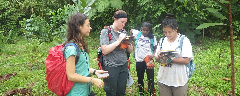 Cornell students in Costa Rica