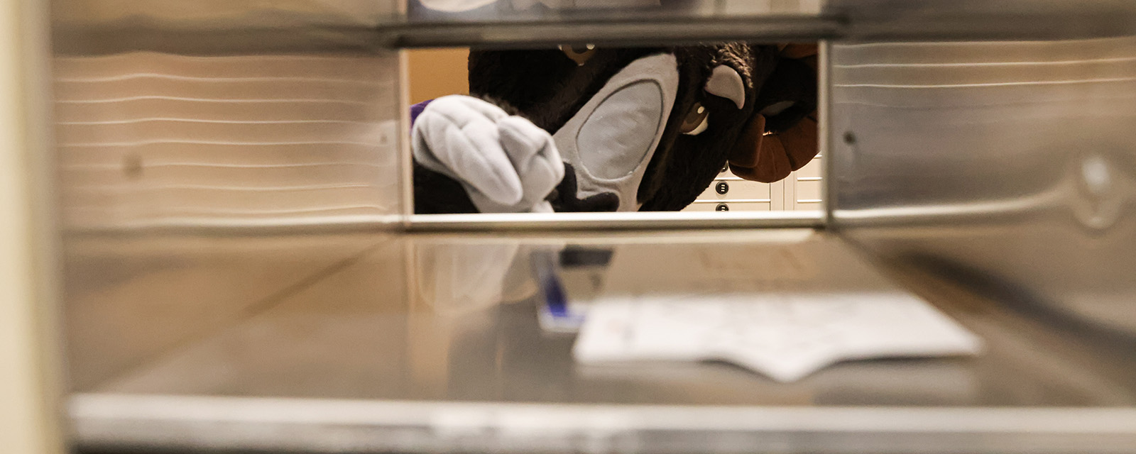 College mascot putting mail in to student mailboxes.