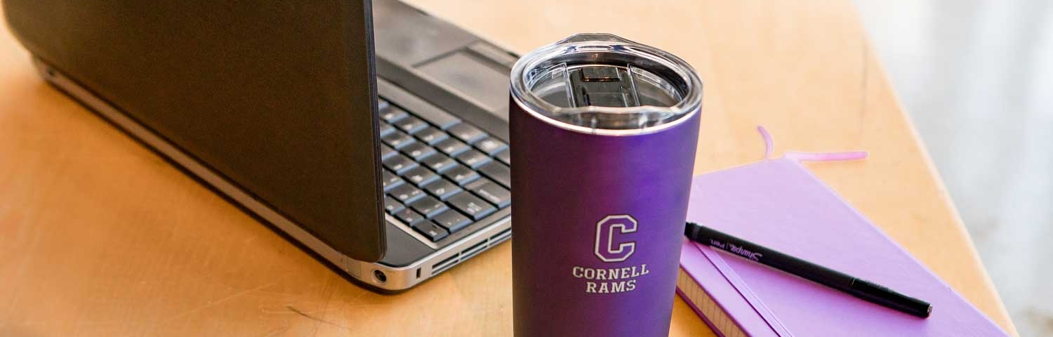laptop, Cornell coffee mug, and a notebook